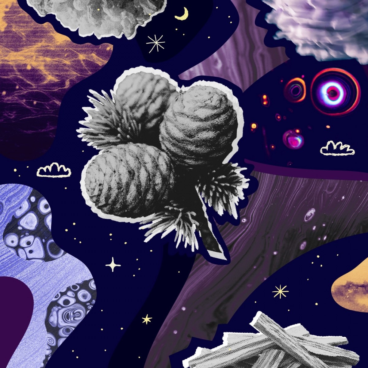 Liquid Picnic by EUKIDIEN Facial Oil · OIL OF NOONIGHT · 30ml · "Not just a routine. A return."