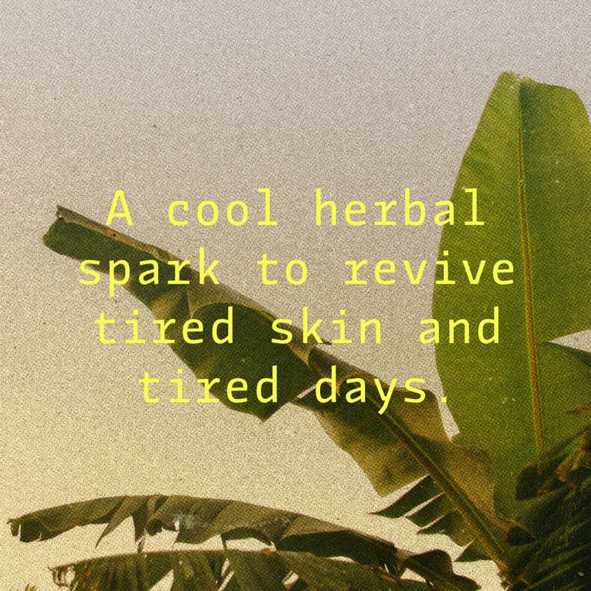 Liquid Picnic by EUKIDIEN
Body Oil · FOREST AFFAIR · 100ml  · 

"Nature’s got a crush on you."