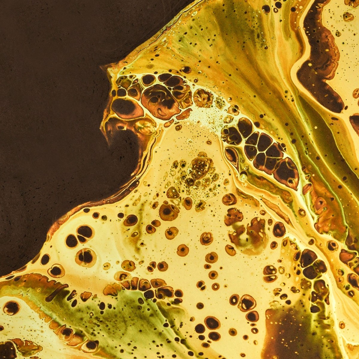 Liquid Picnic by EUKIDIEN
Body Oil · FOREST AFFAIR · 100ml  · 

"Nature’s got a crush on you."