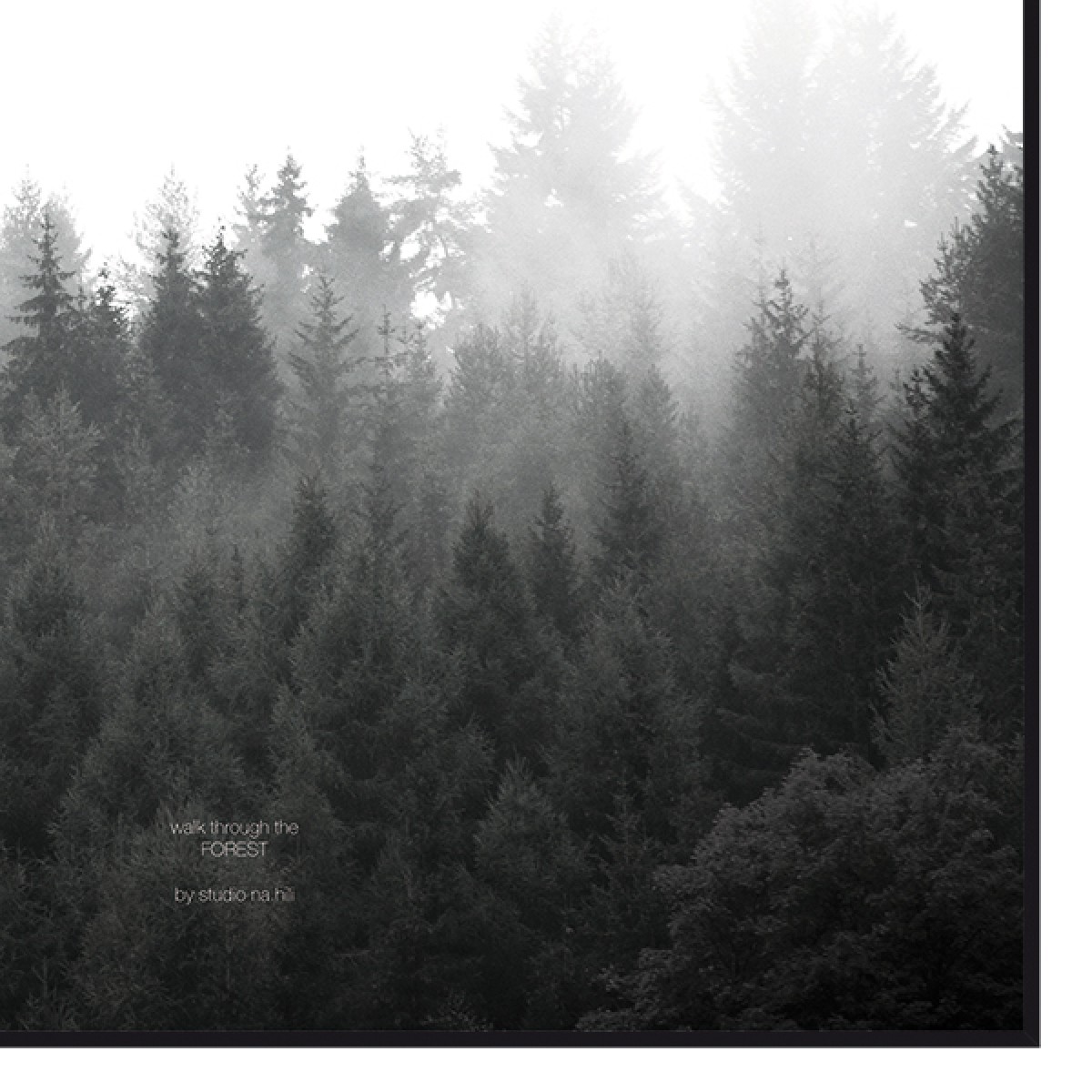 nahili ARTPRINT/POSTER "walk through the FOREST" (DIN A1/A3 & 50x70cm) Wald Natur-Fotografie