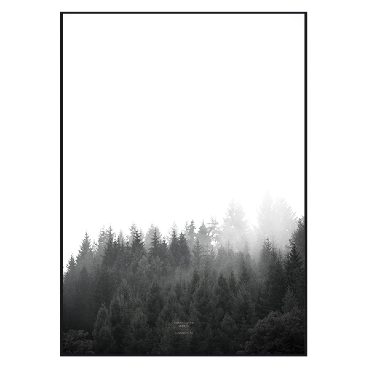 nahili ARTPRINT/POSTER "walk through the FOREST" (DIN A1/A3 & 50x70cm) Wald Natur-Fotografie