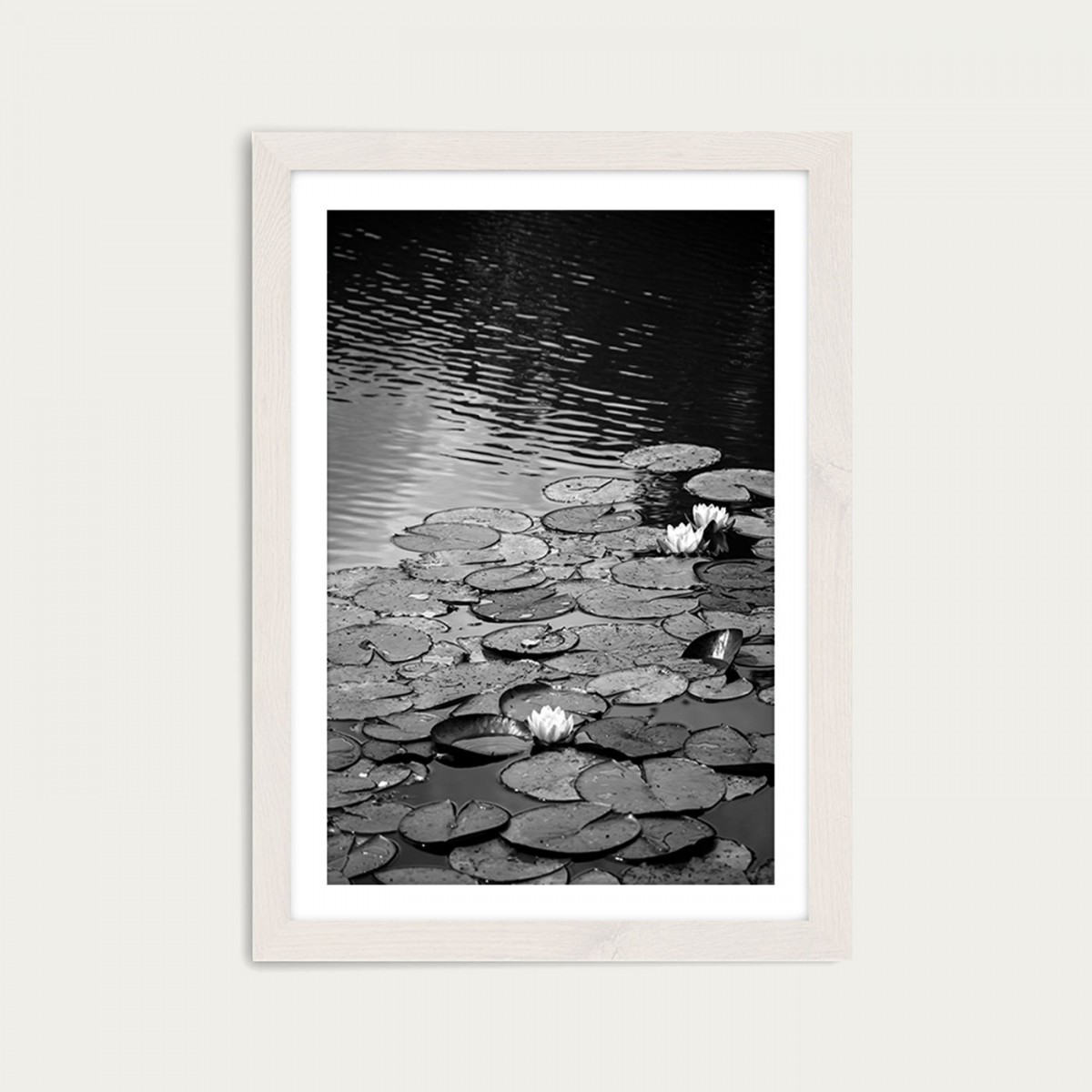 nahili ARTPRINT/POSTER "floating on the WATER" Seerosen Fotografie (DIN A1/A3 & 50x70cm)
