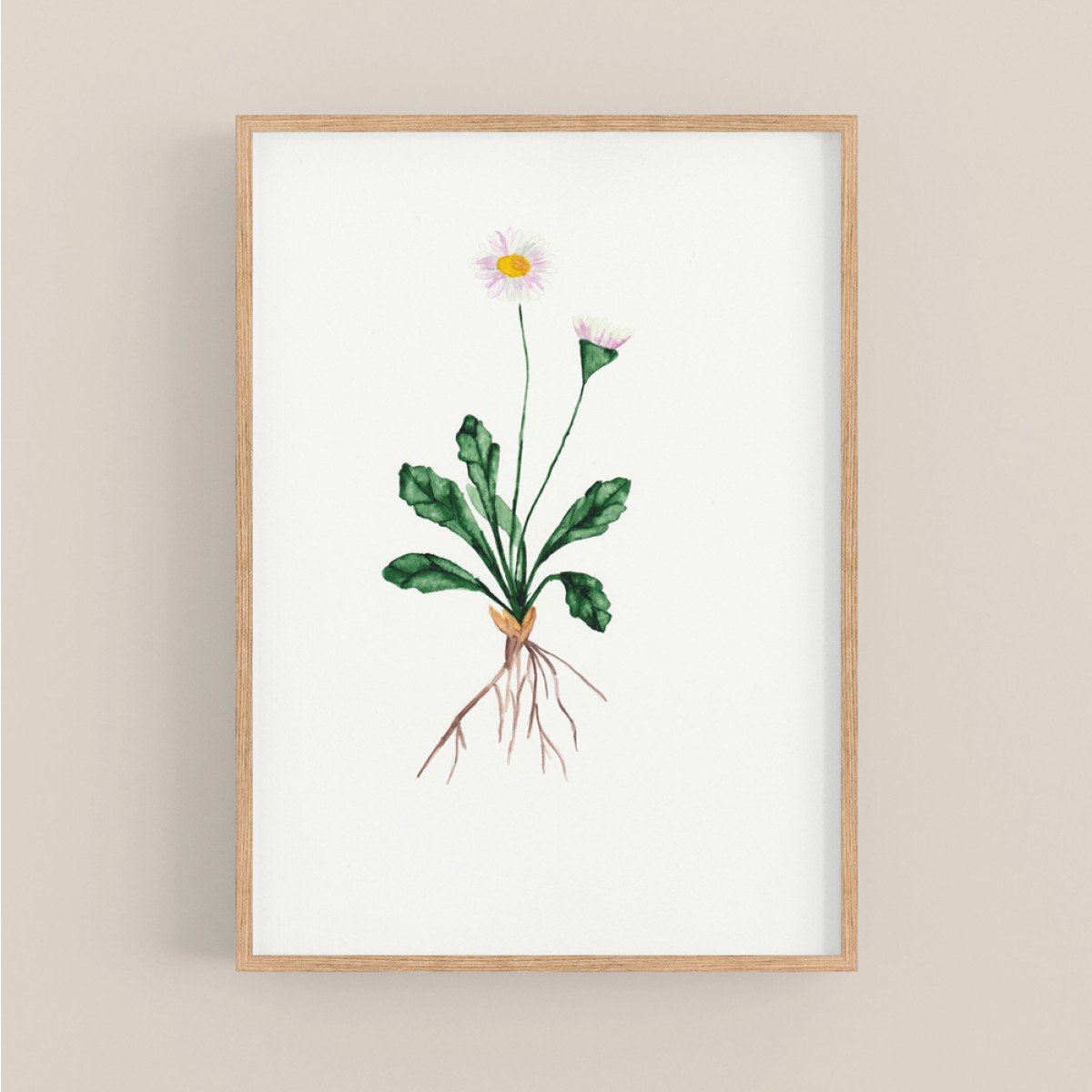 nathys illustration Aquarell Poster "daisy" DIN A4 (Botanic, Flower)