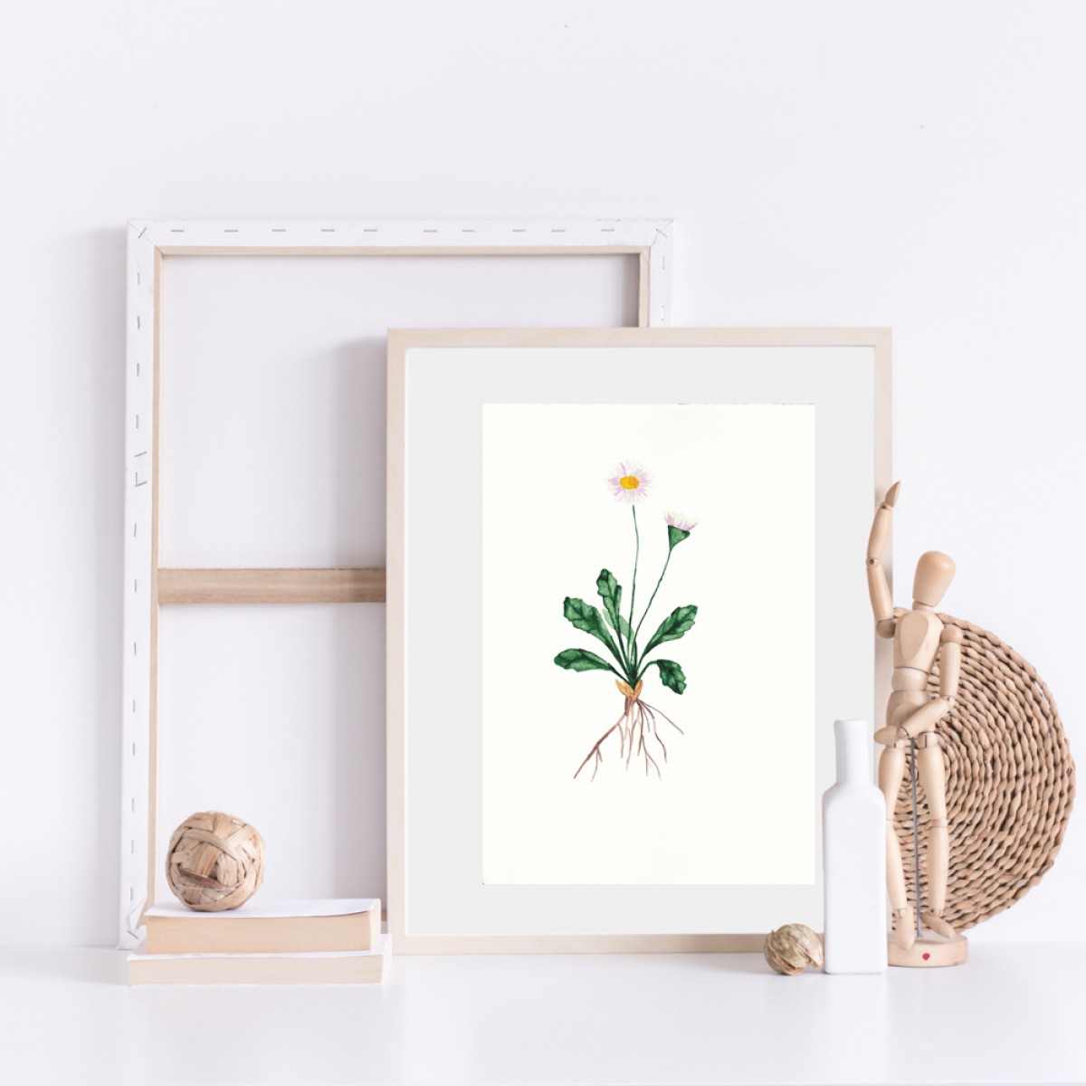 nathys_illustration "daisy"