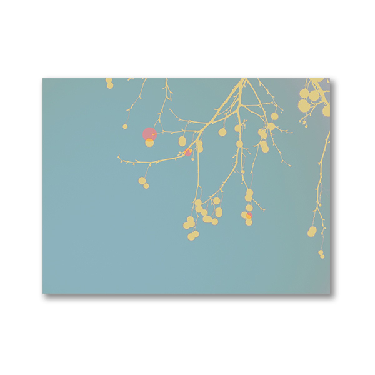 ZEITLOOPS "Gelbe Äste mit Rot", Fineartprint, 45x60cm