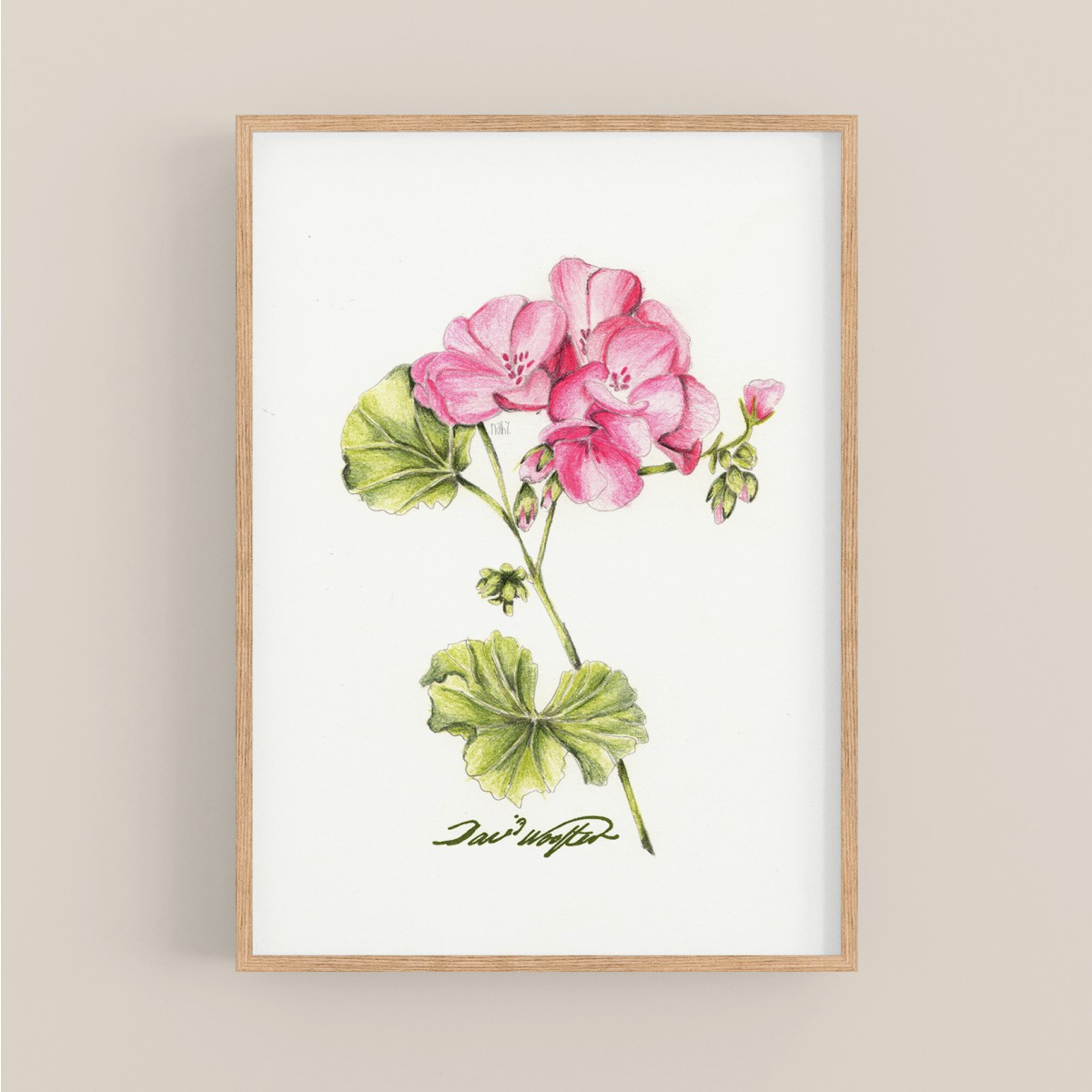 nathys_illustration - "Geranium" DINA4 Druck/ Poster/ Illustration