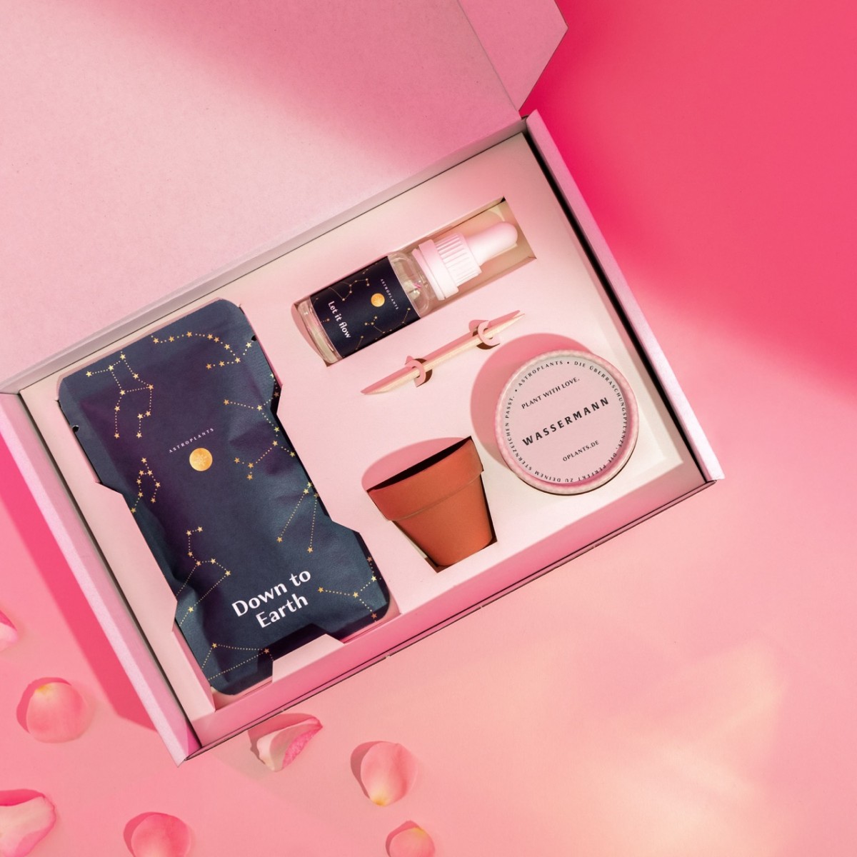 Astroplants - Geschenkbox - Love Edition