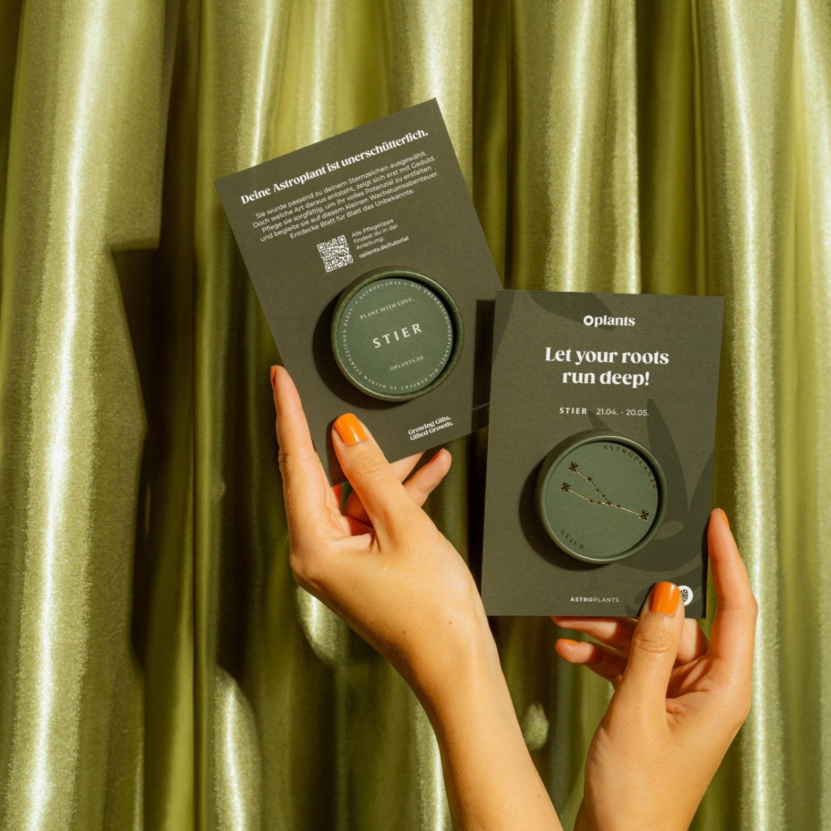 Astroplants - Stier - Pflanzensamen