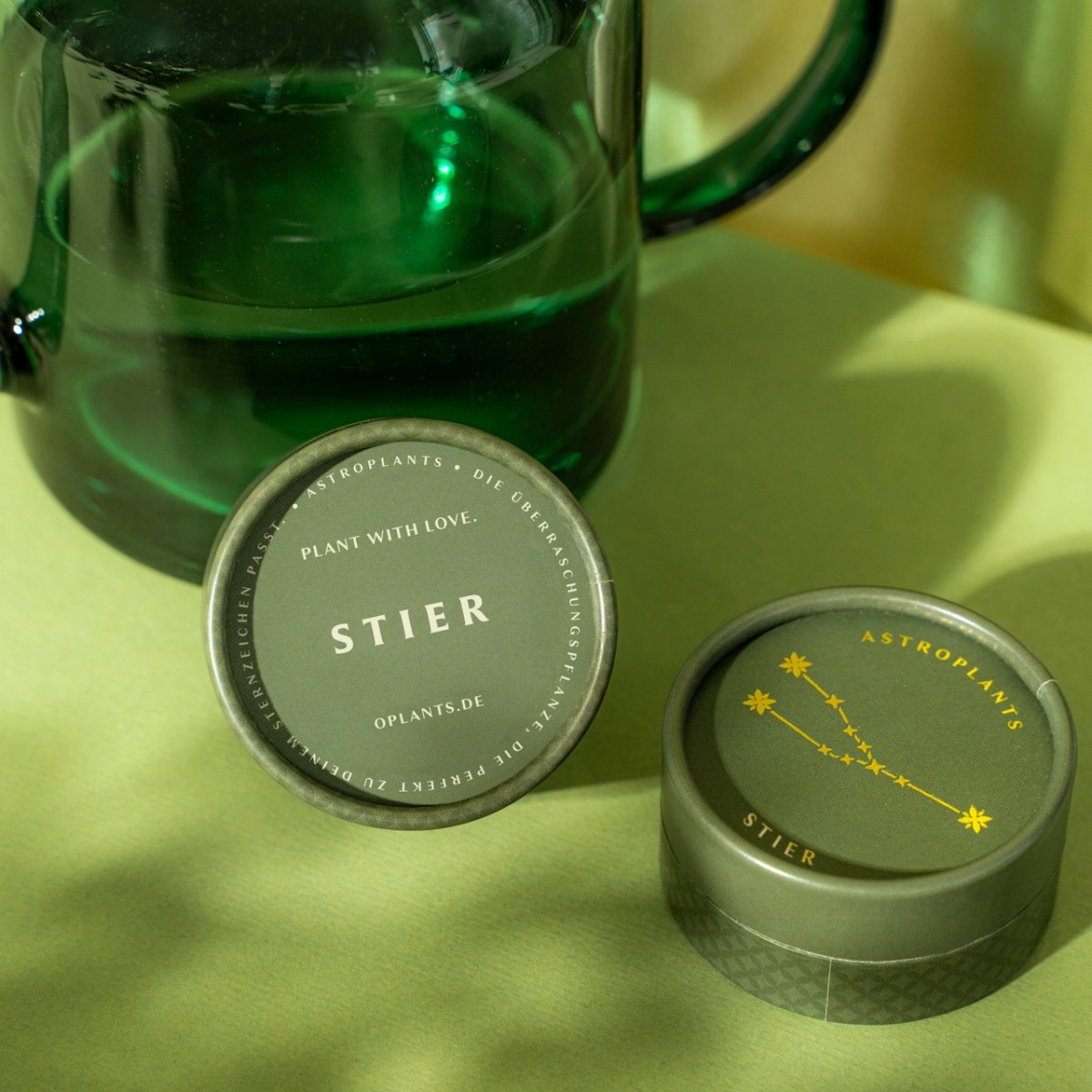 Astroplants - Stier - Pflanzensamen