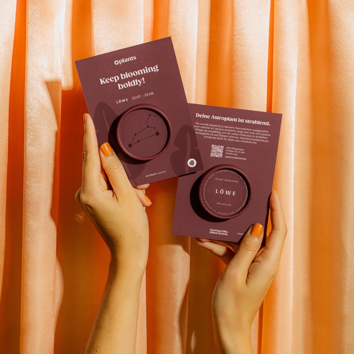 Astroplants - Löwe - Pflanzensamen