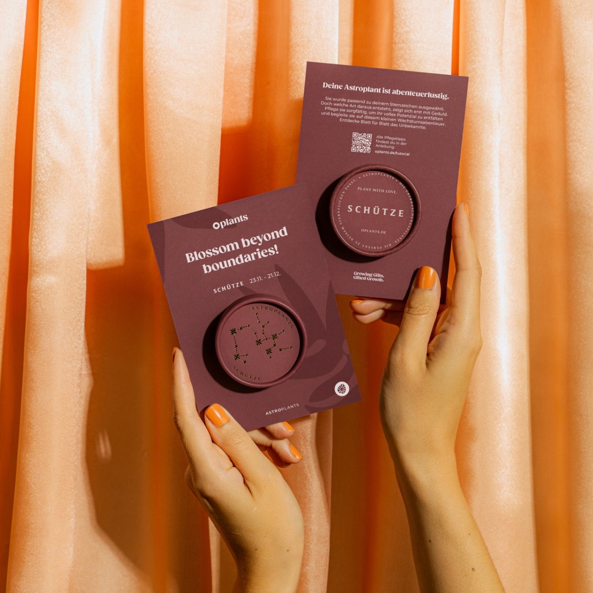 Astroplants - Schütze - Pflanzensamen