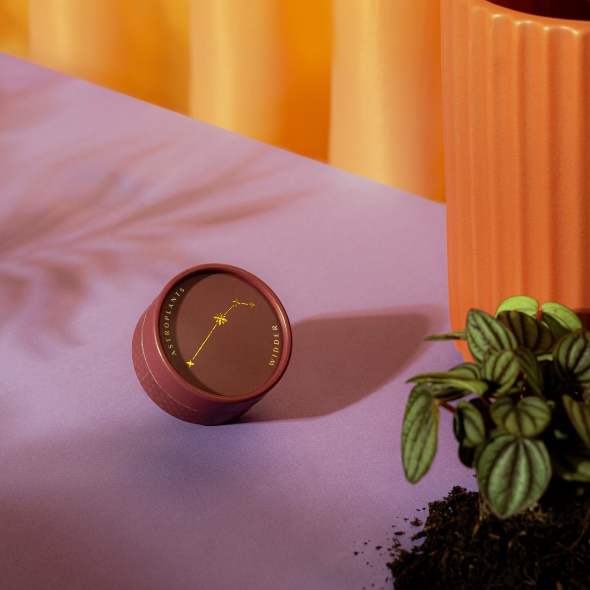 Astroplants - Widder - Pflanzensamen