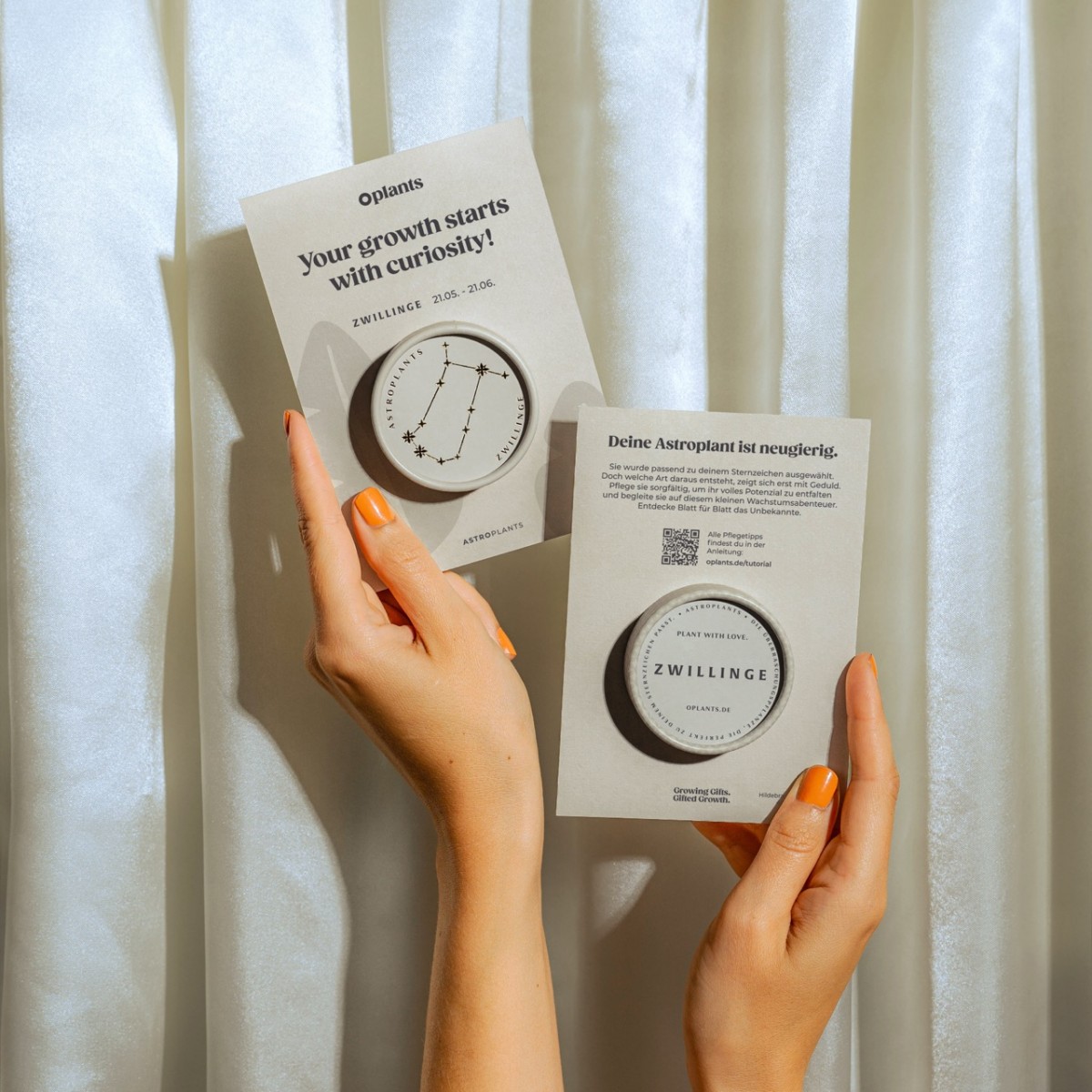 Astroplants - Zwillinge - Pflanzensamen