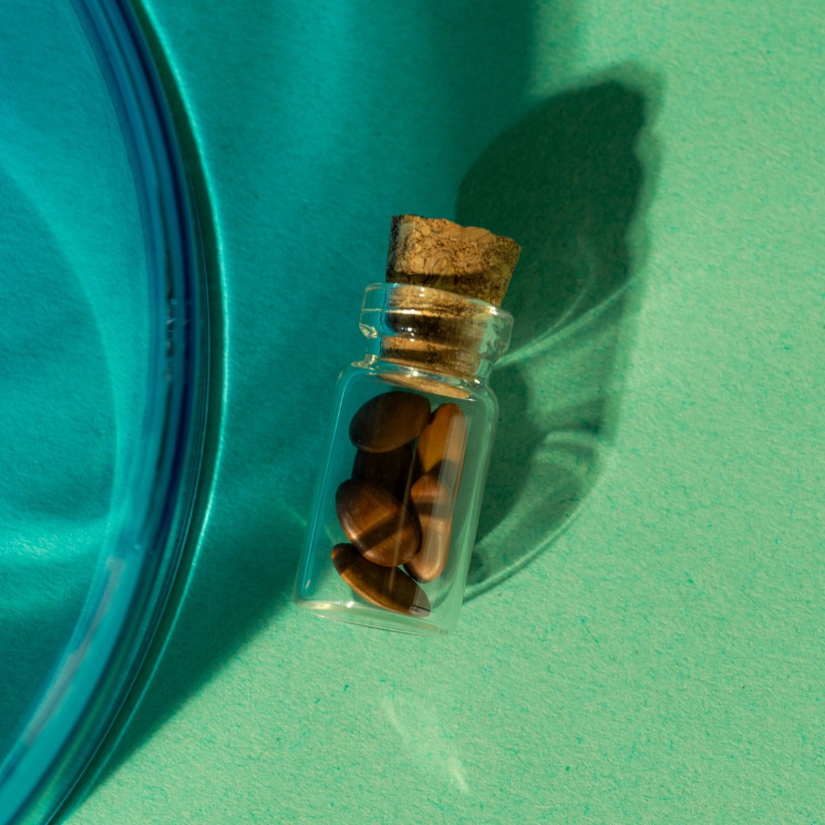 Astroplants - Fische - Pflanzensamen