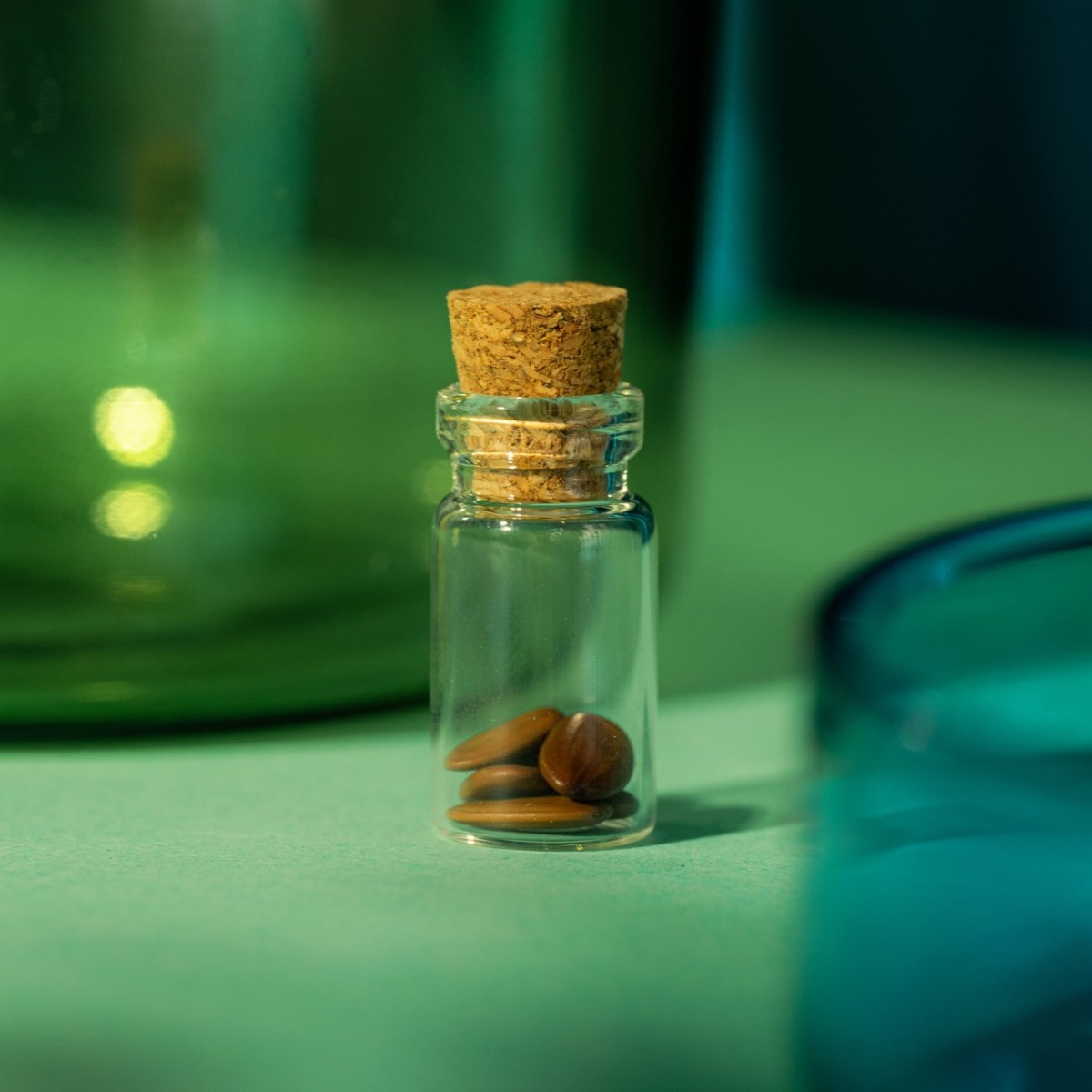 Astroplants - Skorpion - Pflanzensamen