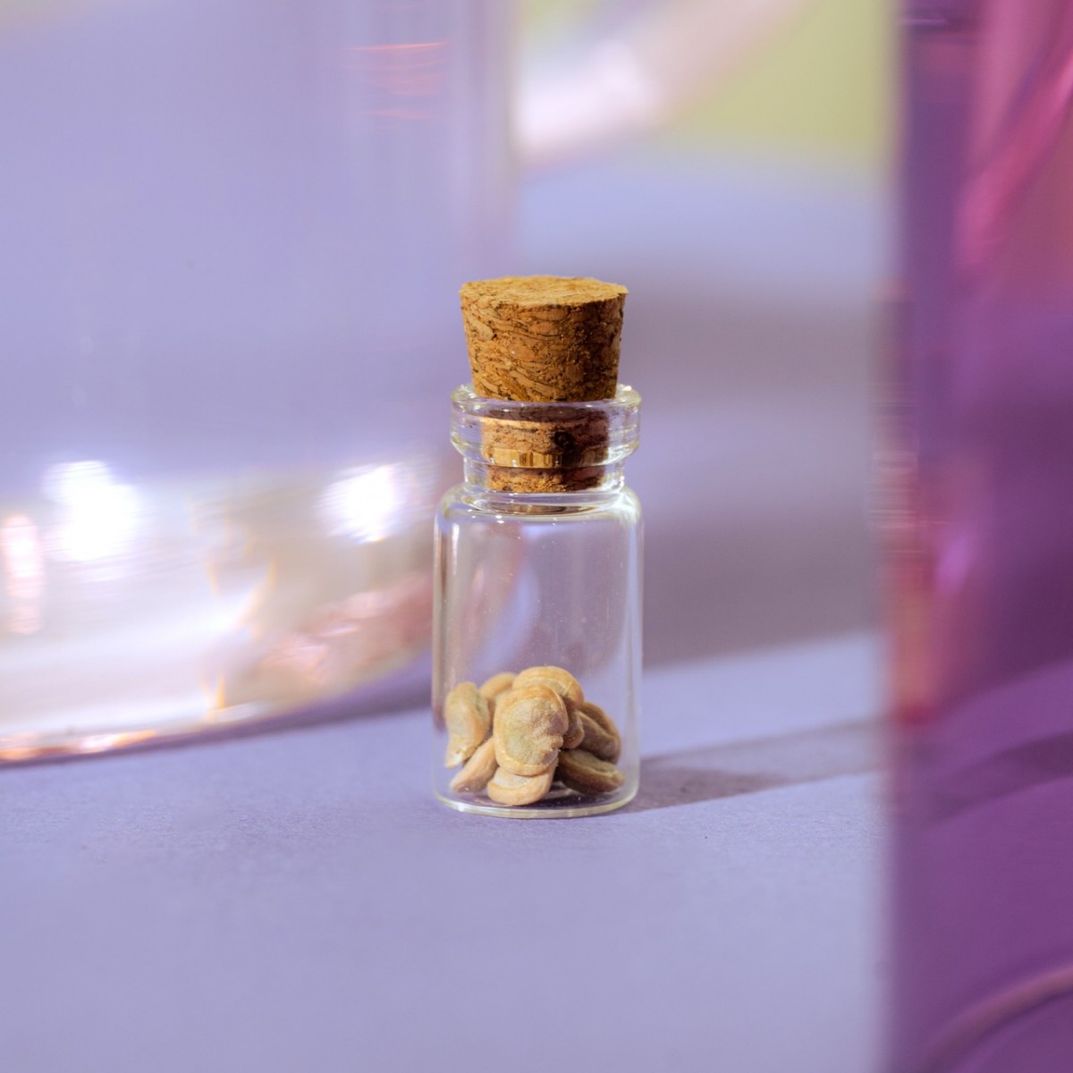 Astroplants - Wassermann - Pflanzensamen