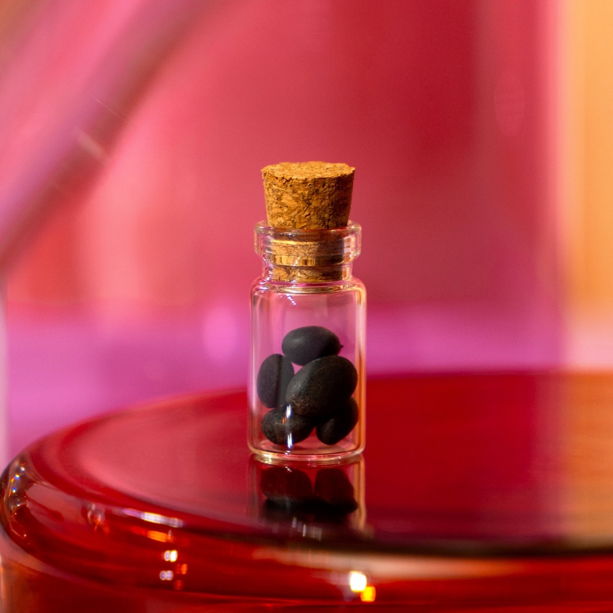 Astroplants - Widder - Pflanzensamen