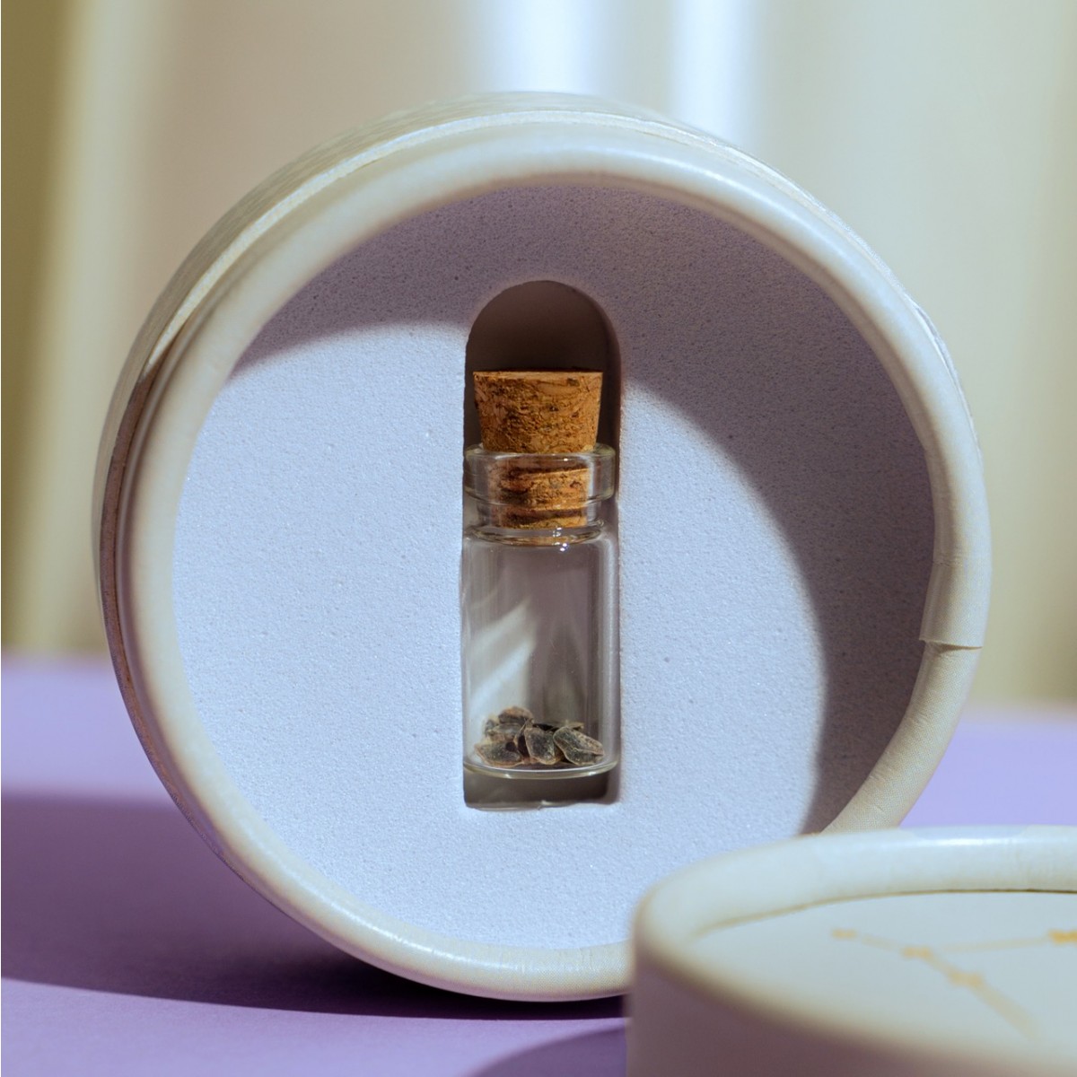 Astroplants - Zwillinge - Pflanzensamen