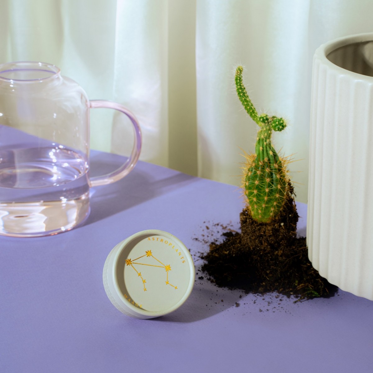 Astroplants - Waage - Pflanzensamen