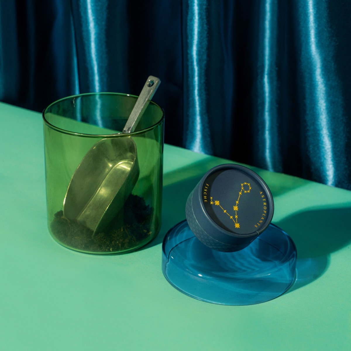 Astroplants - Fische - Pflanzensamen