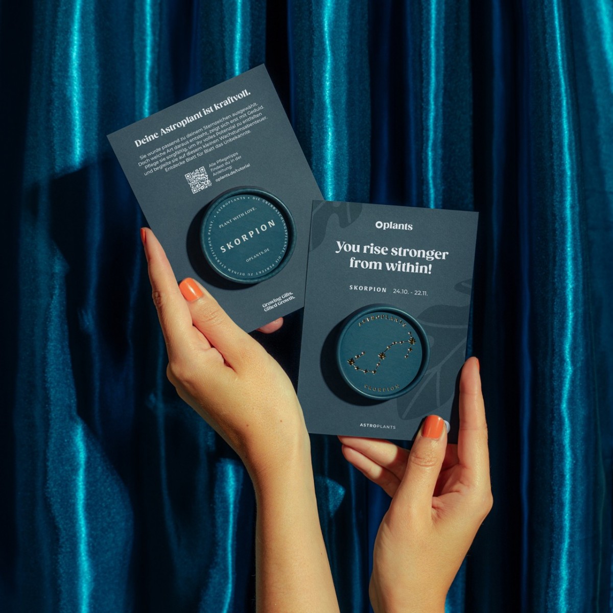 Astroplants - Skorpion - Pflanzensamen