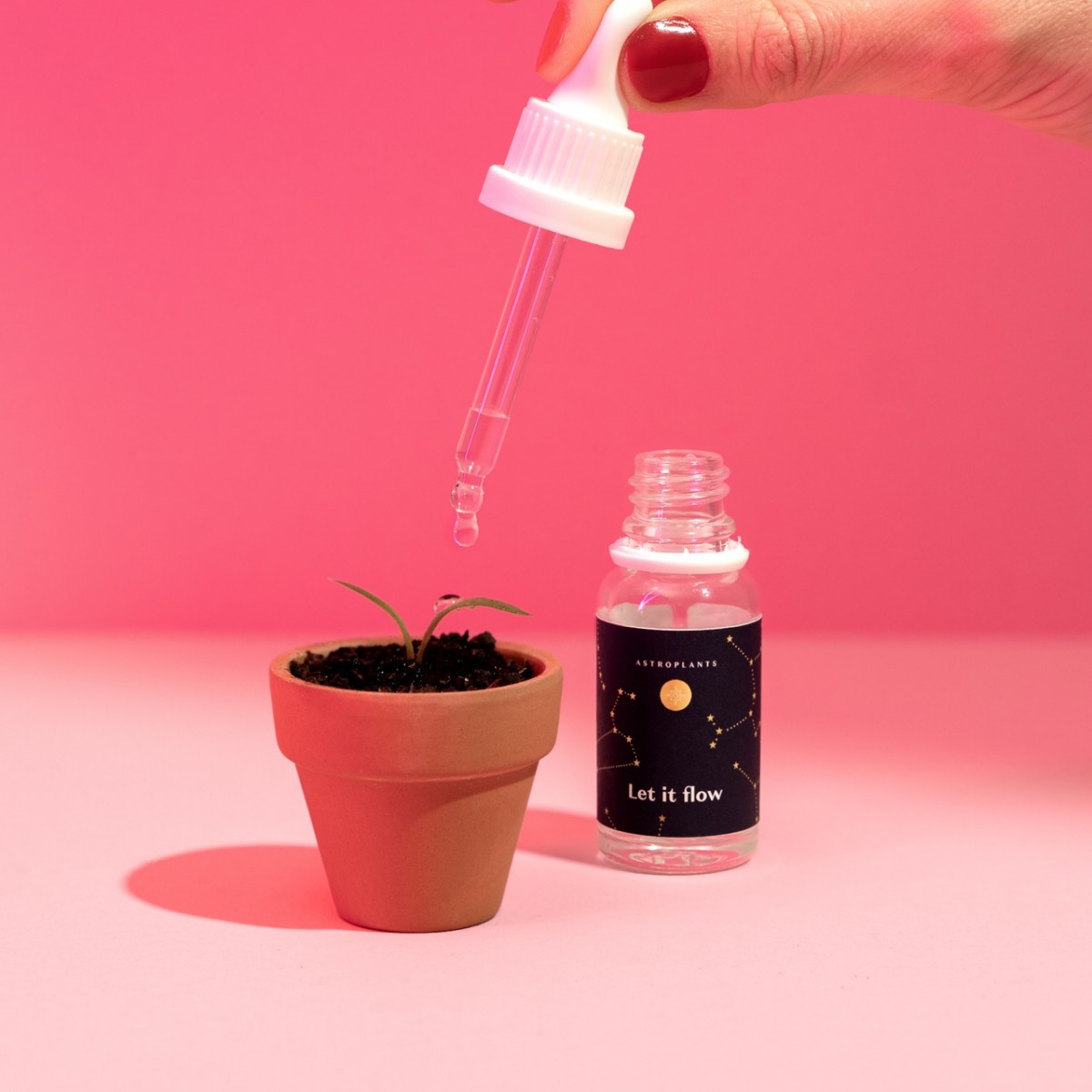 Astroplants - Geschenkbox - Love Edition