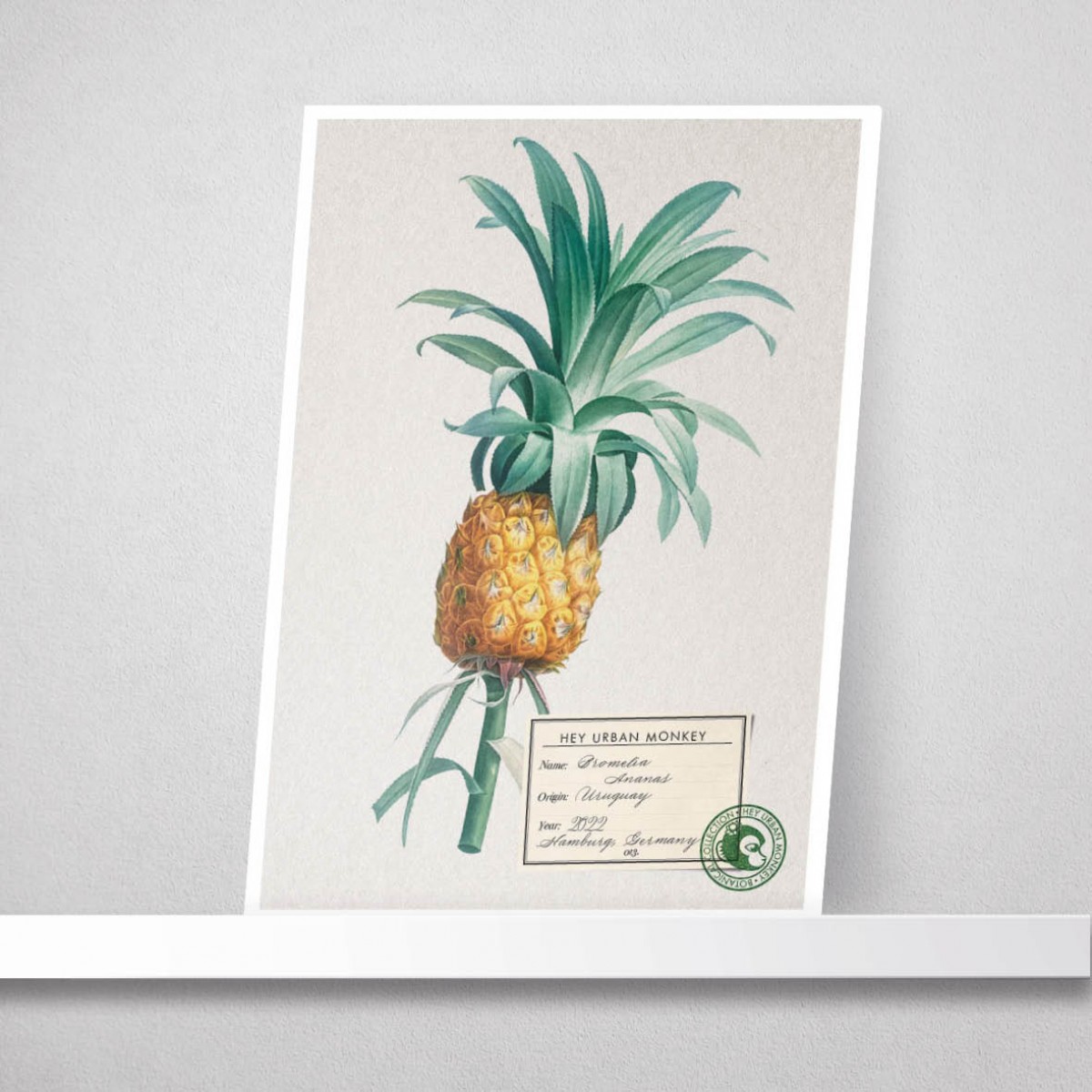 Hey Urban Monkey - A4 Poster - „Bromelia Ananas“