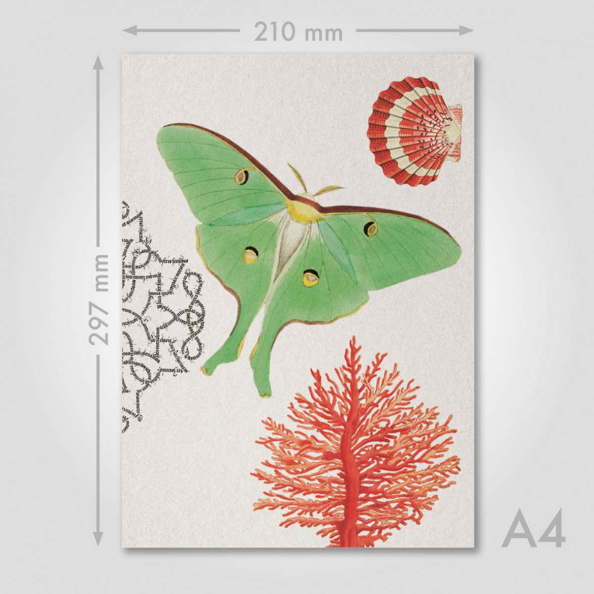 Hey Urban Monkey - 
A4 Poster - 
„Luna Moth - Coral“