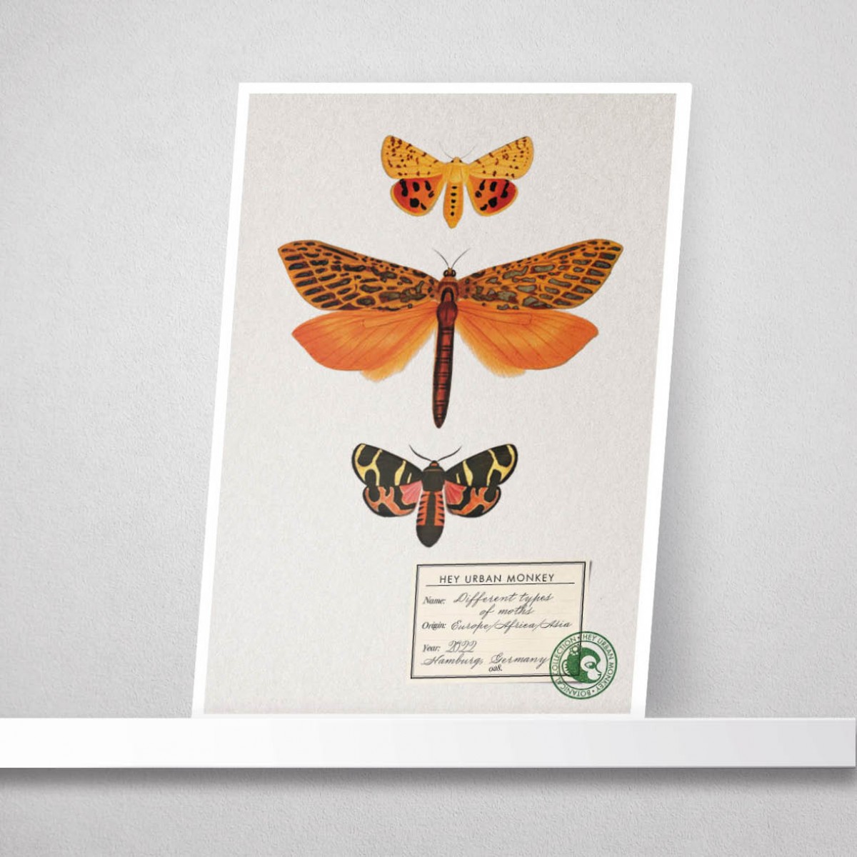 Hey Urban Monkey - 
A4 Poster - 
„Different types of moths 2“