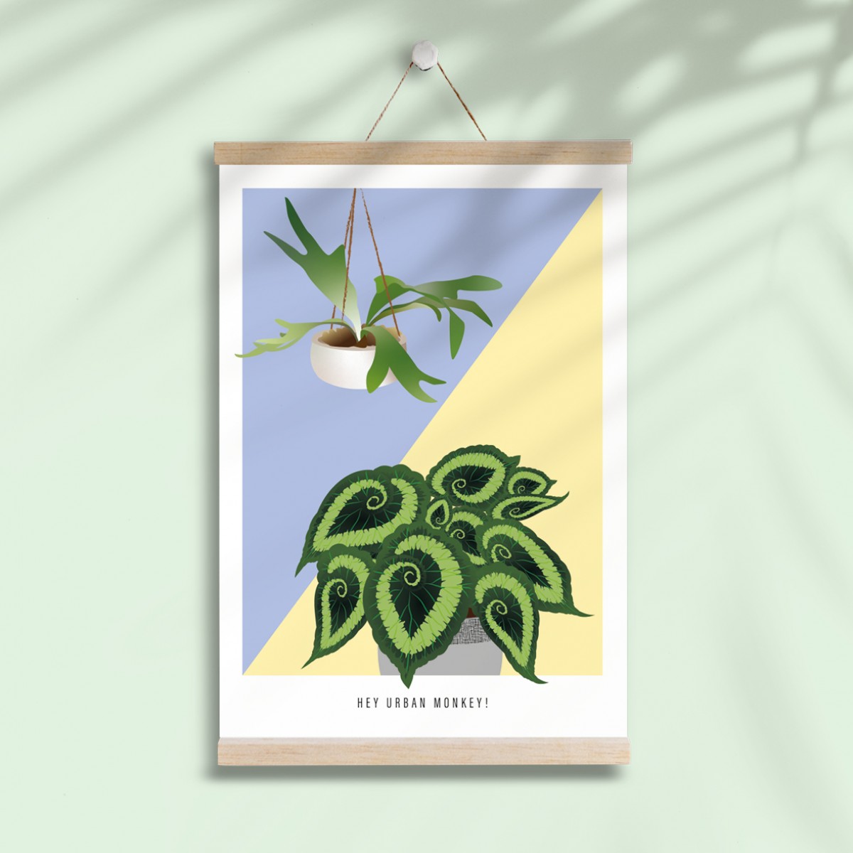 Hey Urban Monkey - A4 Poster - „Begonia/Staghorn“