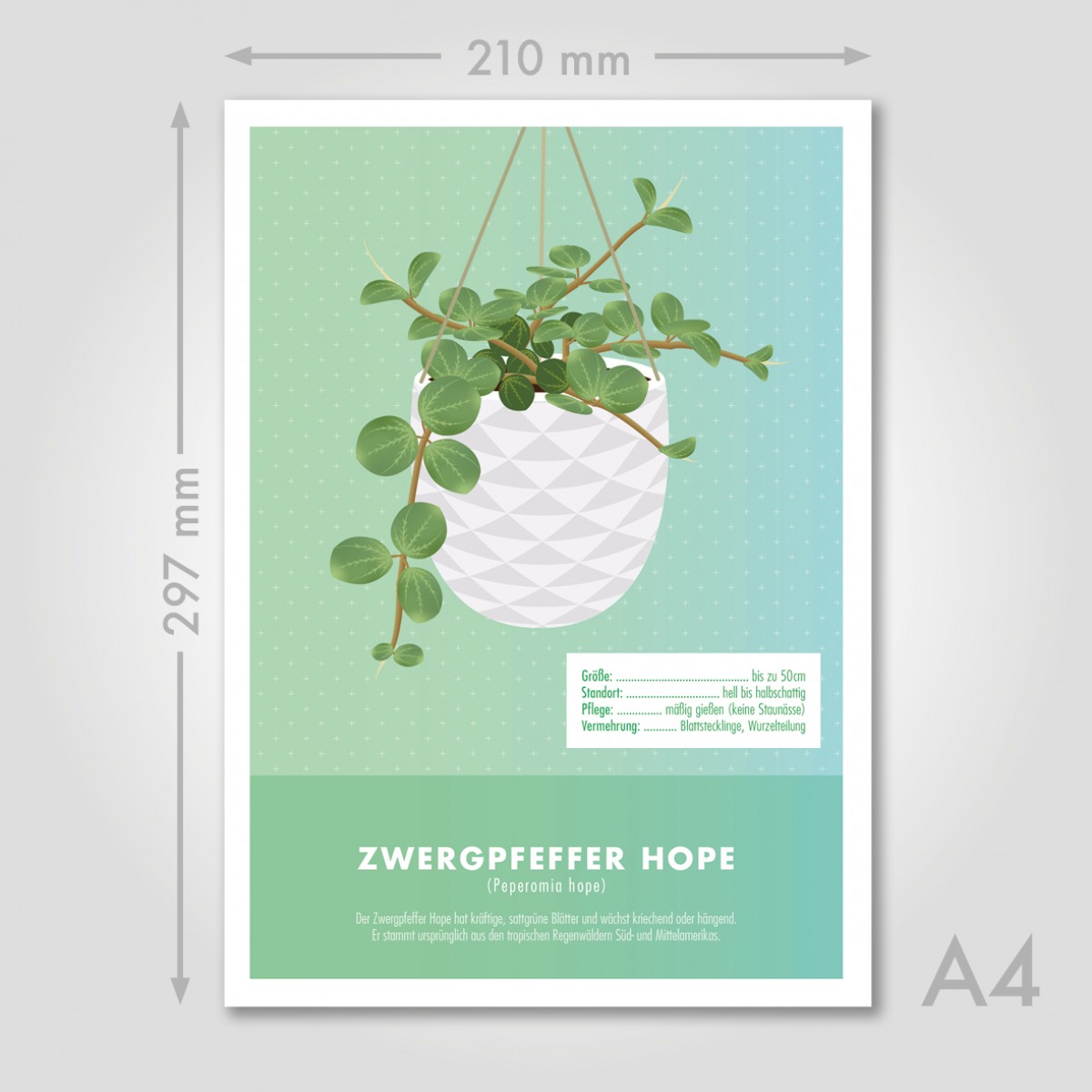 Hey Urban Monkey - A4 Poster - „Zwergpfeffer hope“
