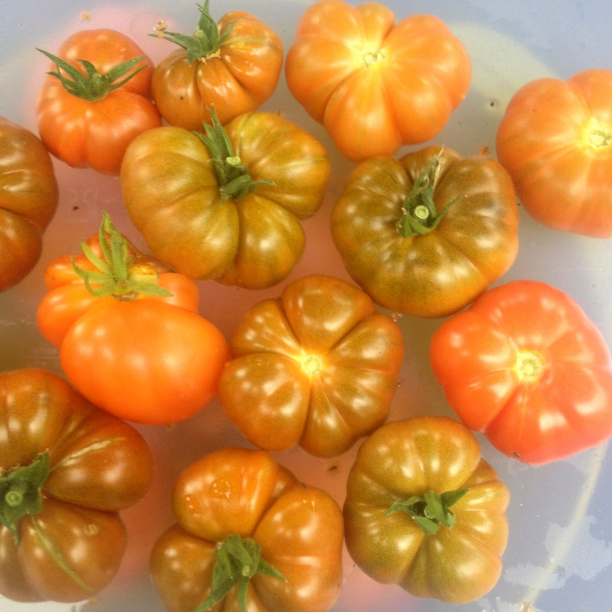 Gabys Grüner Garten traumhafte TomatenMarmelade (250g)