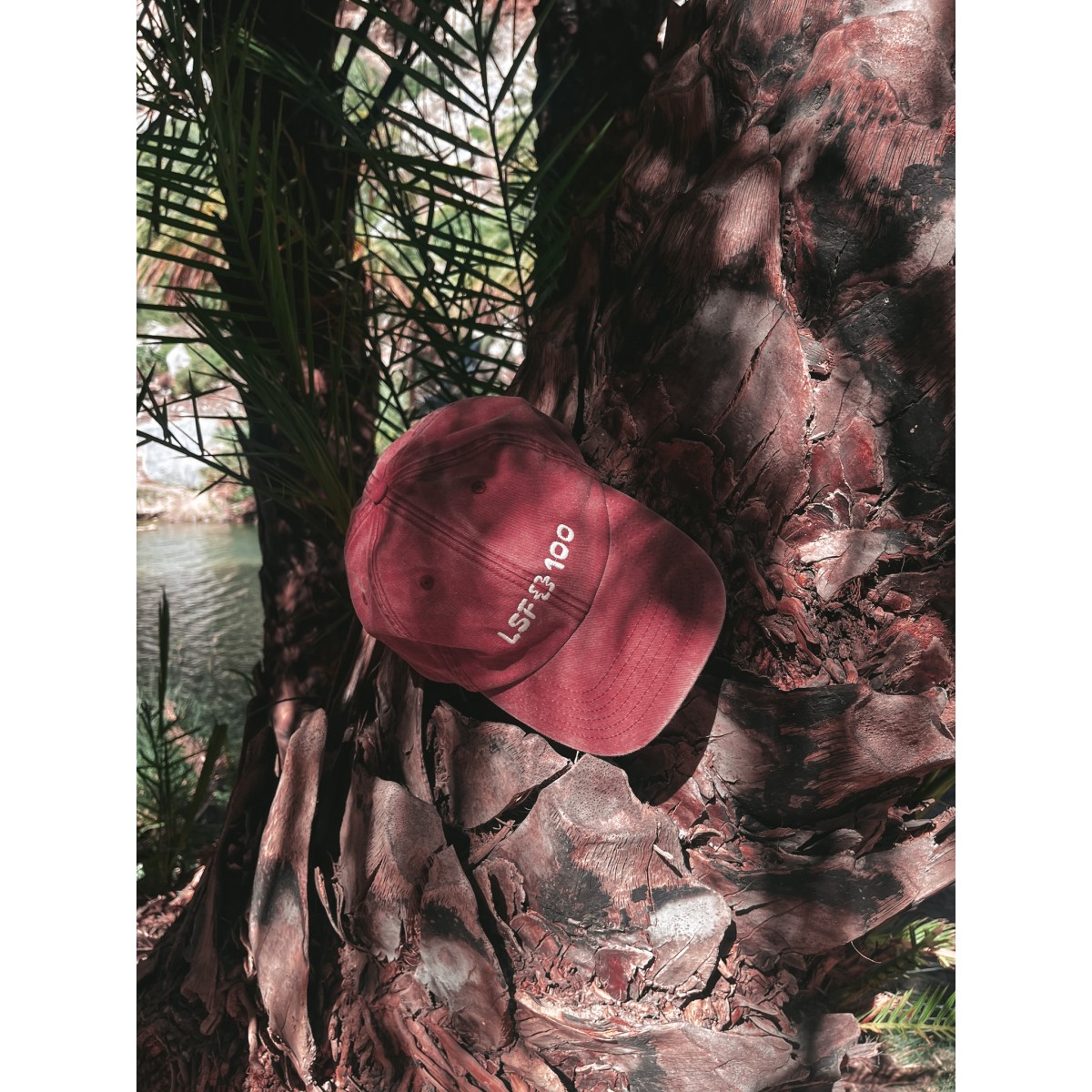 LSF Vintage Cap Girls in Motion 