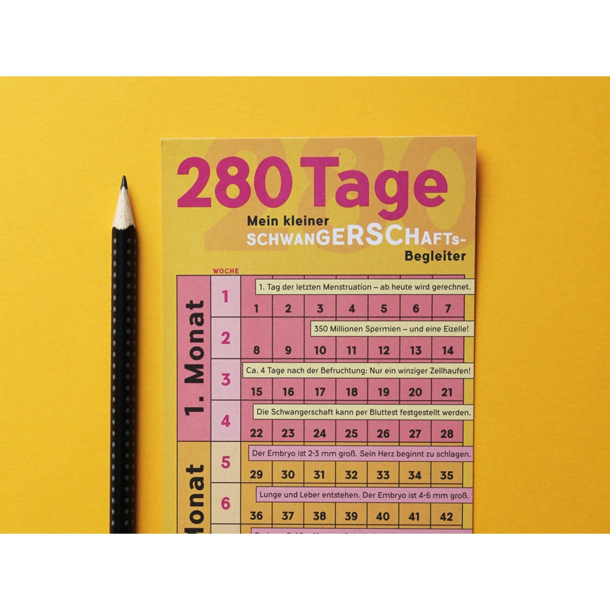 Schwangerschaftskalender mit Mini-Tagebuch | Variante „Pink-Orange-Rosa-Gelb“ | 280 Tage | beidseitig bedruckt
