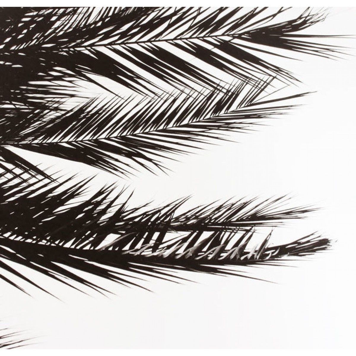 Coco Lapine Design 'Palm print' 2-er set