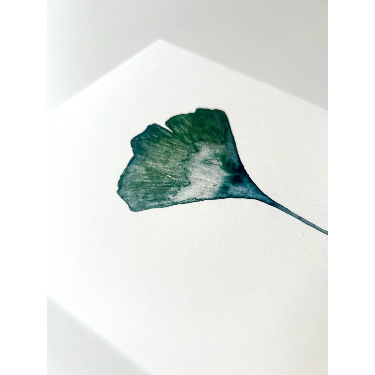 Ginkgo Poster A5 - SANS