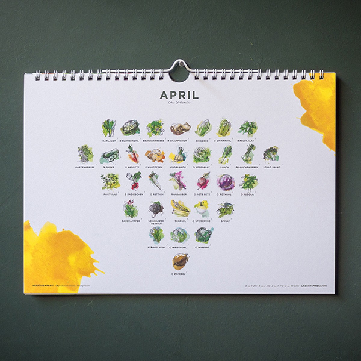 Saisonkalender für Obst & Gemüse, farbig, 101 Sorten, Ringkalender