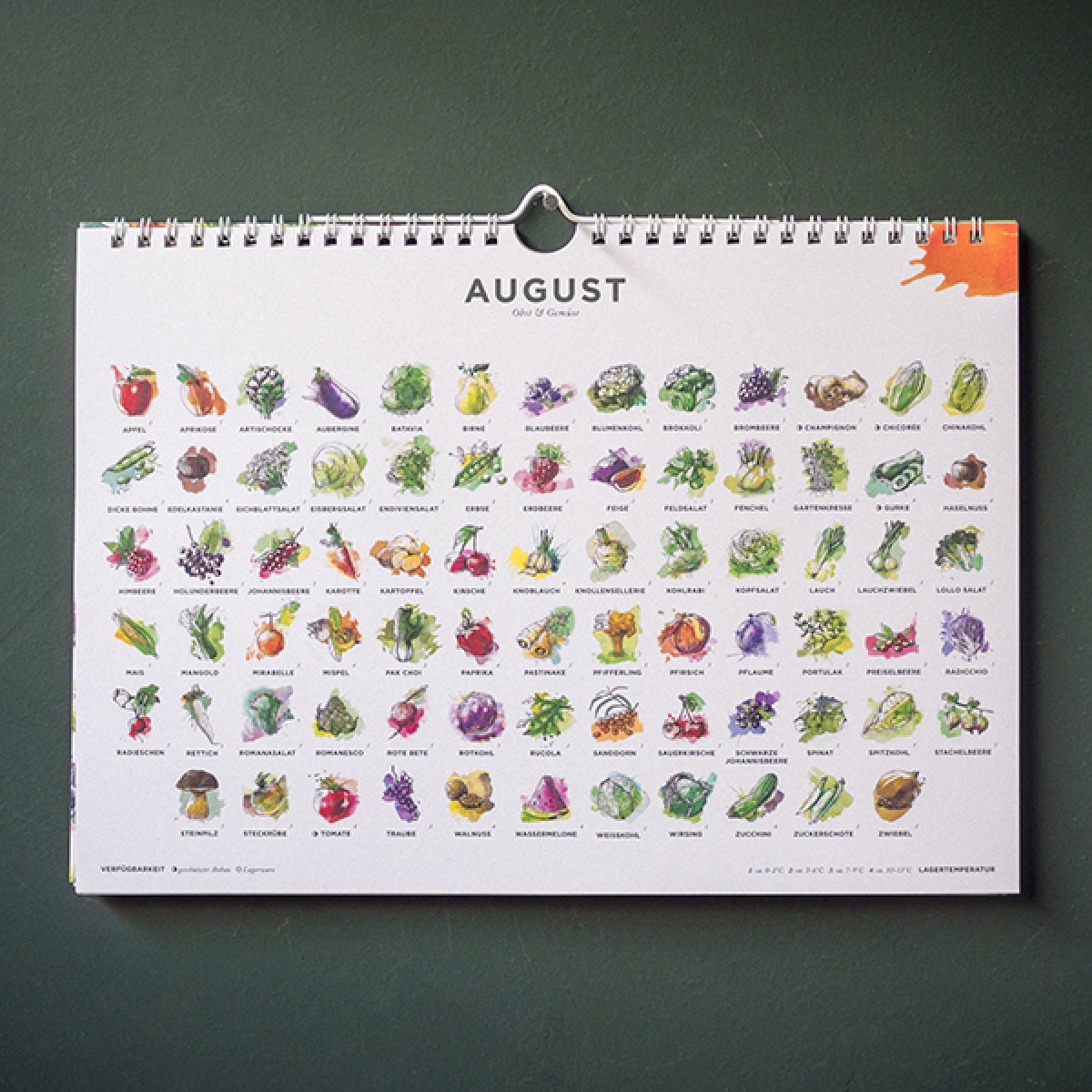 Saisonkalender für Obst & Gemüse, farbig, 101 Sorten, Ringkalender