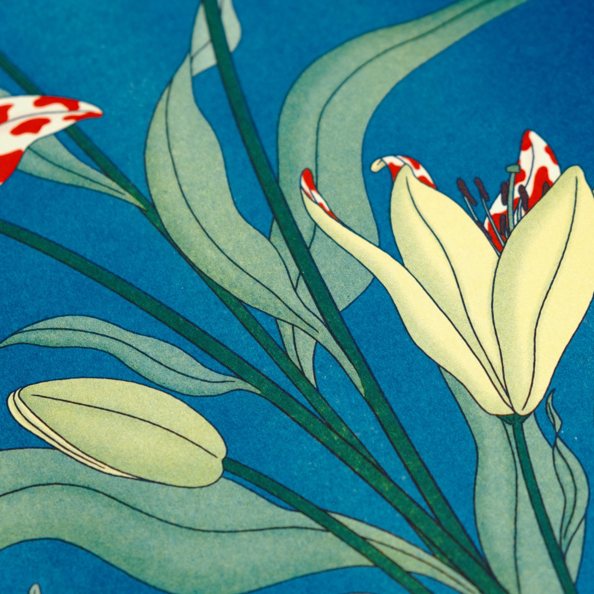 The Naughty District - Risographie Print »Lilien«