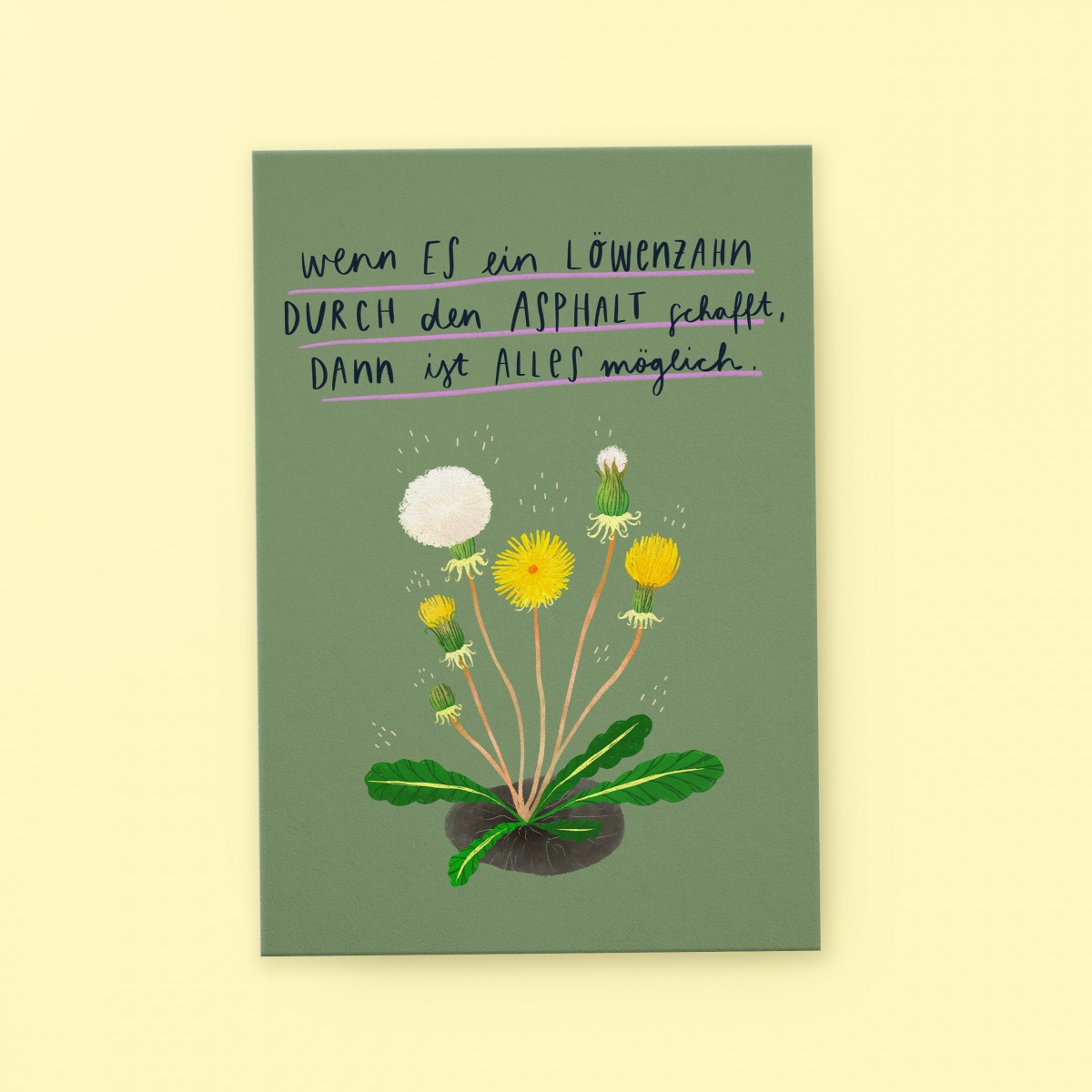 franzizo Postkarte »Löwenzahn«