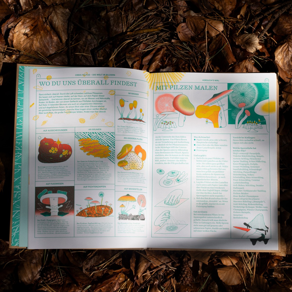 Myko – illustriertes Pilzmagazin in Buchform, 10 Ausgaben in 14 Sonderfarben