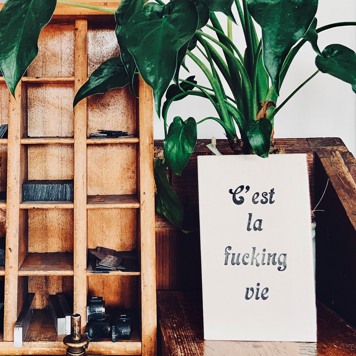 C'est la fucking vie
Letterpress von papelami