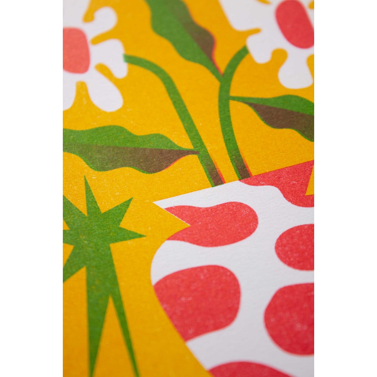 Martin Krusche - Riosgraphie »Magherite«, 13x18cm