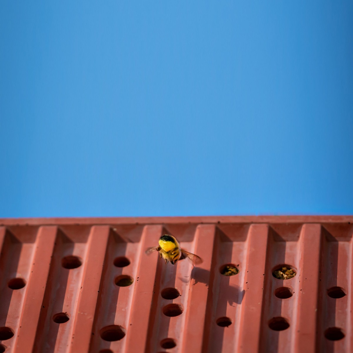 Bienenhotel aus Beton - beecontainer "Rot" im Überseecontainer-Design