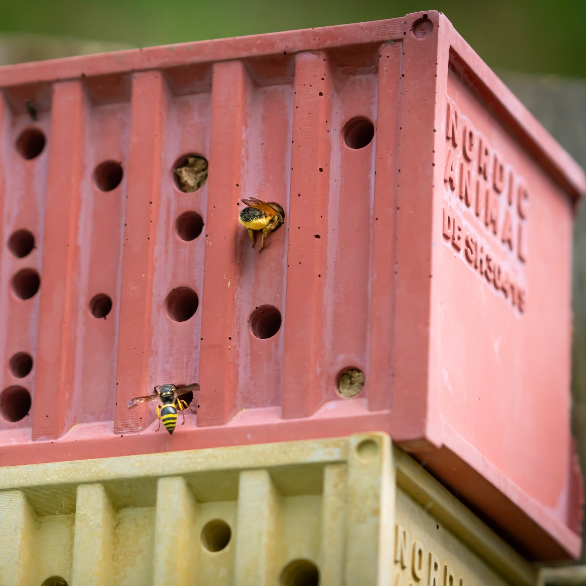 Bienenhotel aus Beton - beecontainer "Rot" im Überseecontainer-Design