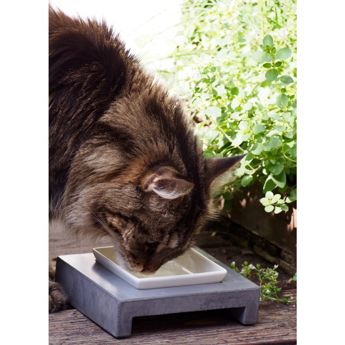 Ersatzschale Set Katzennapf MauMauz Ovisproducts