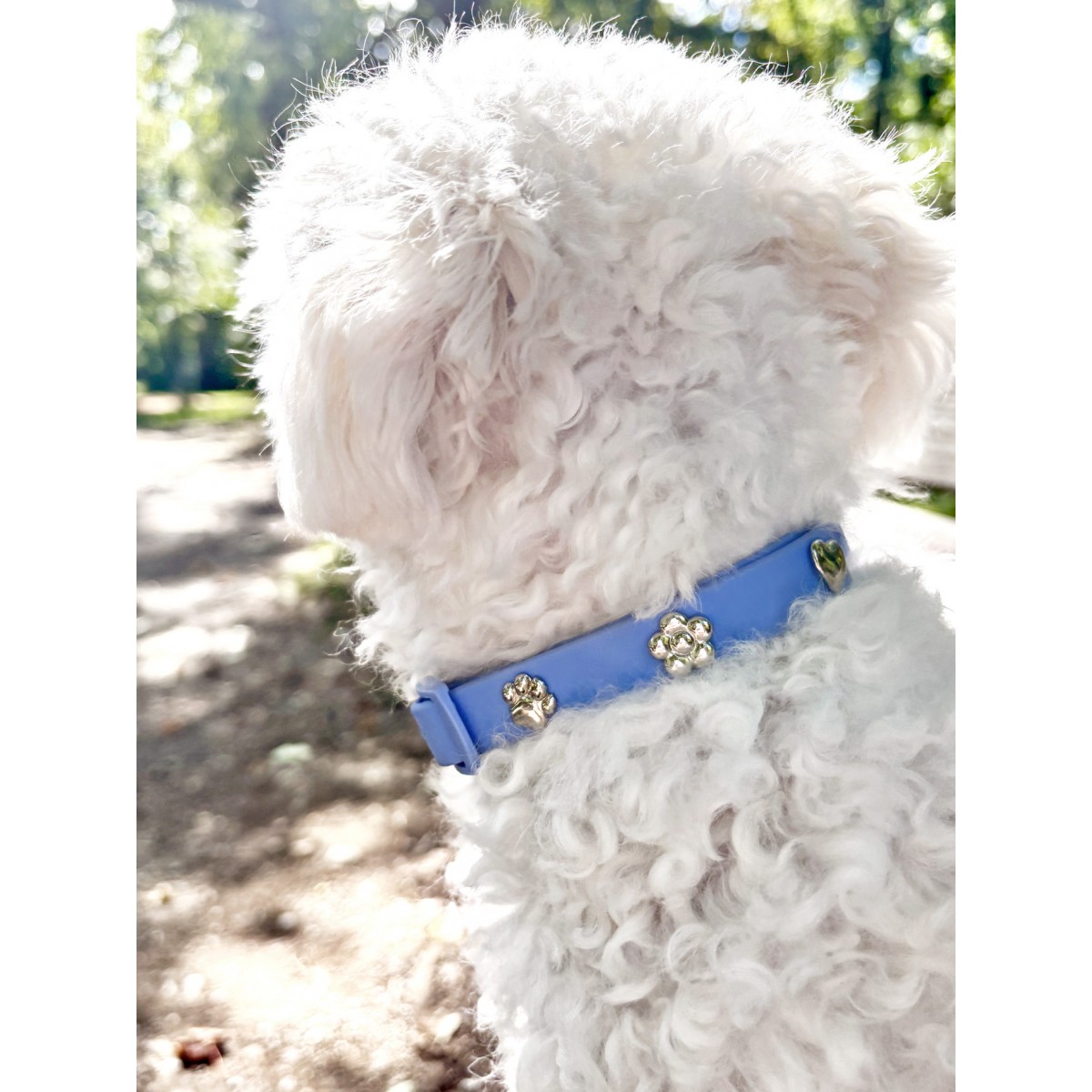 Pfote Silber Hundehalsband Anhänger - PawPopz