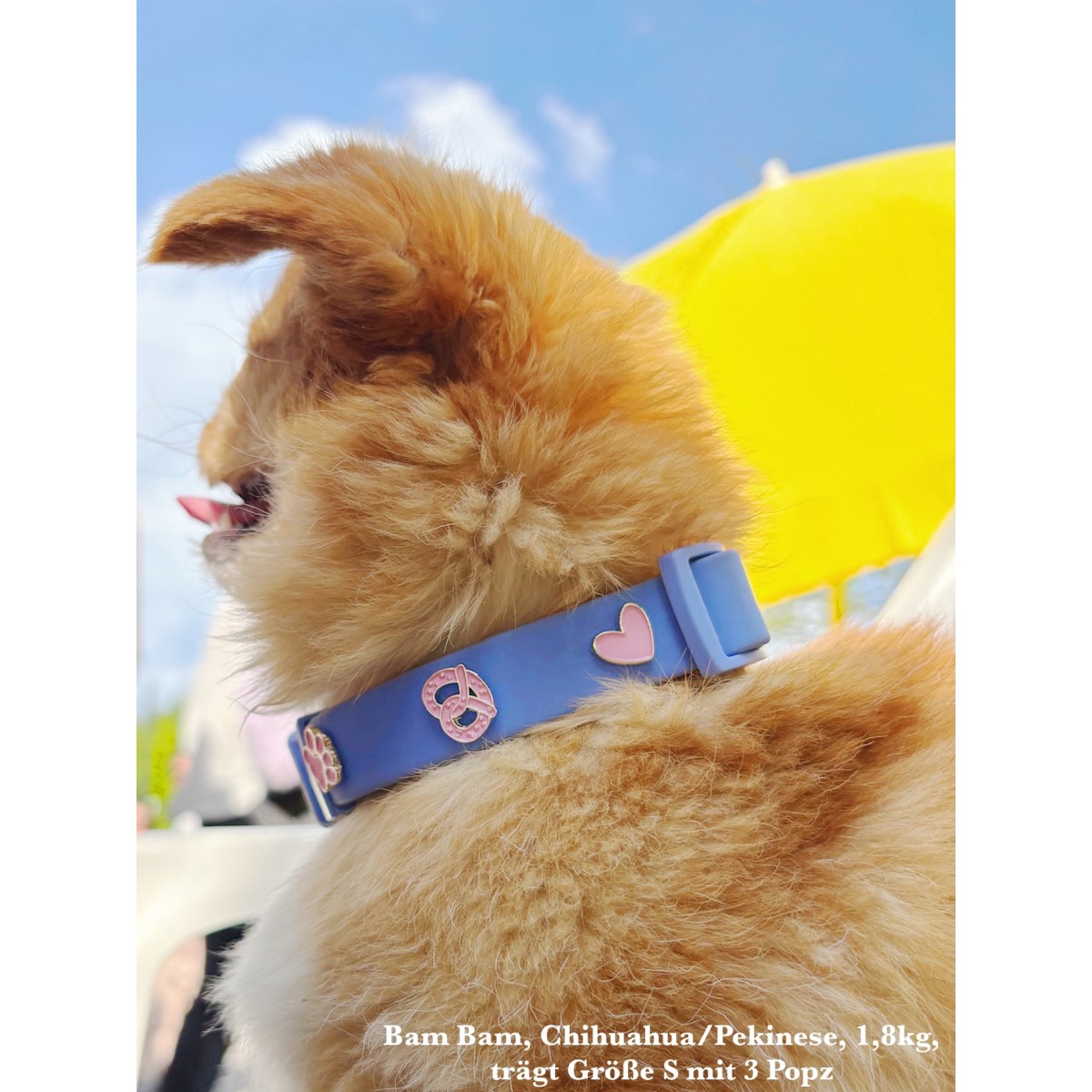 Hundehalsband Outdoor wasserfest Blau - PawPopz