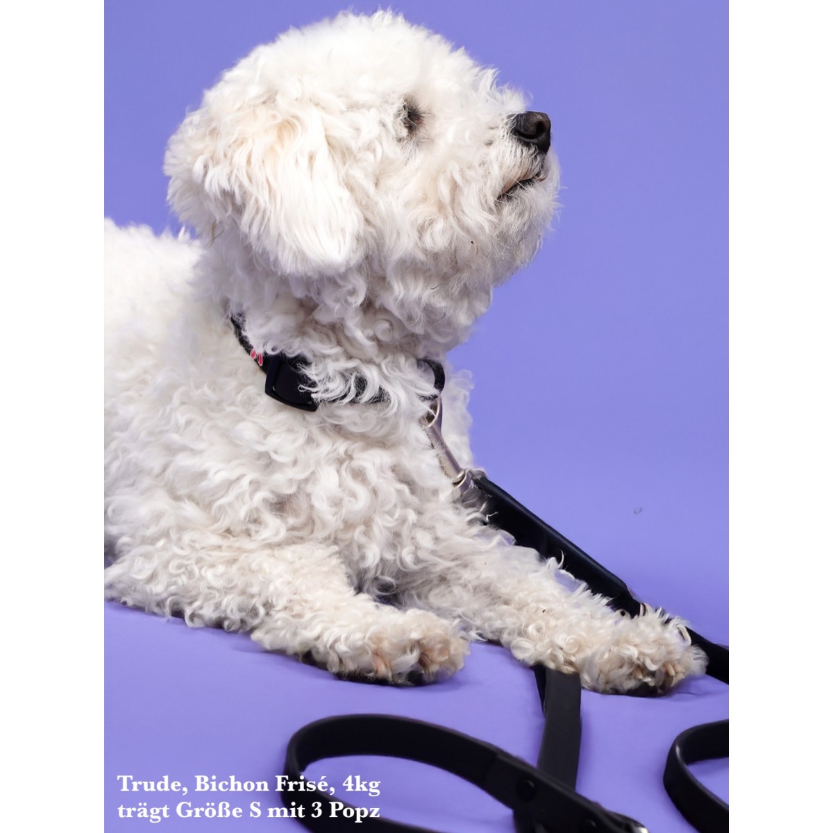 Hundeleine Outdoor wasserfest Schwarz - PawPopz