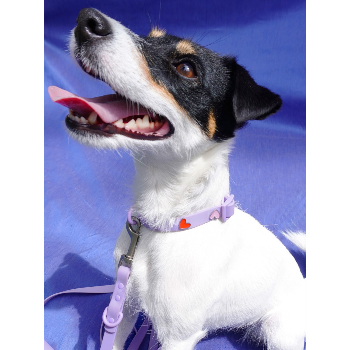 Herz Hundehalsband Anhänger - PawPopz